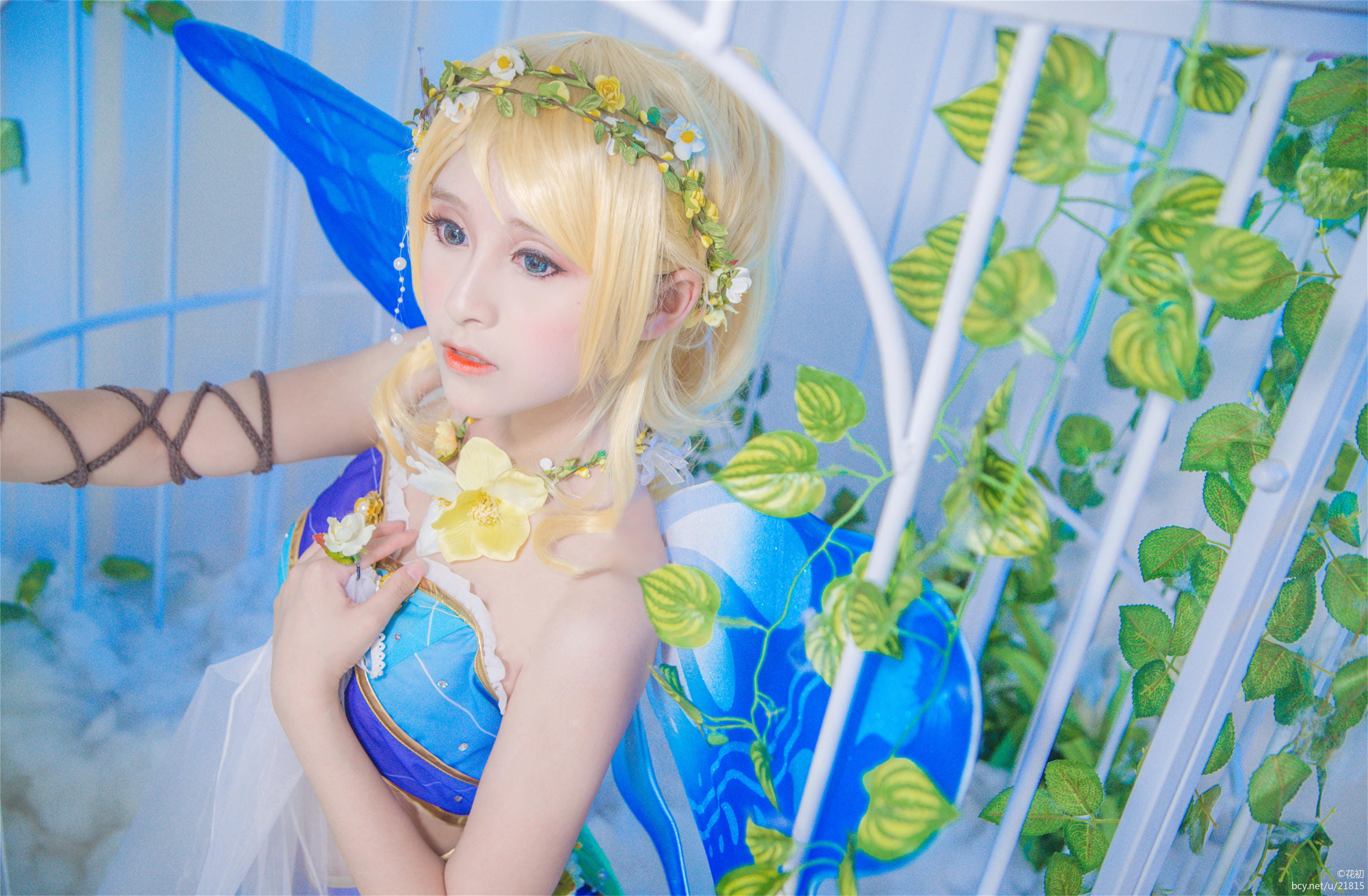 lovelive,花妖精,觉醒,ll,cos