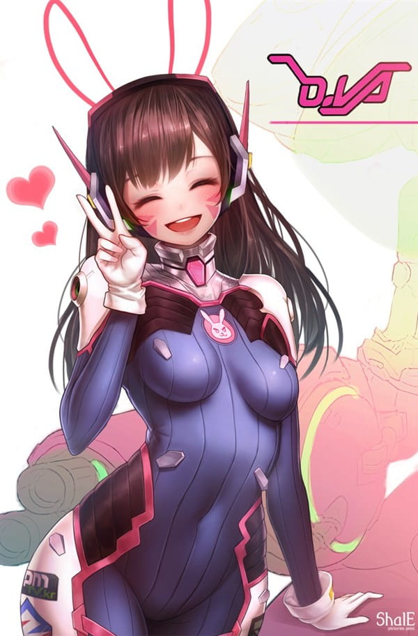 守望先鋒,D.VA，dva本子