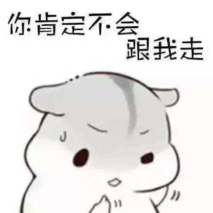 小仓鼠,萌段子