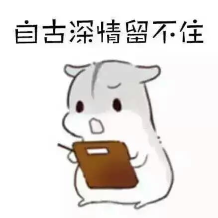 小仓鼠,萌段子