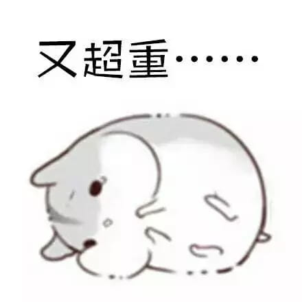 仓鼠,段子