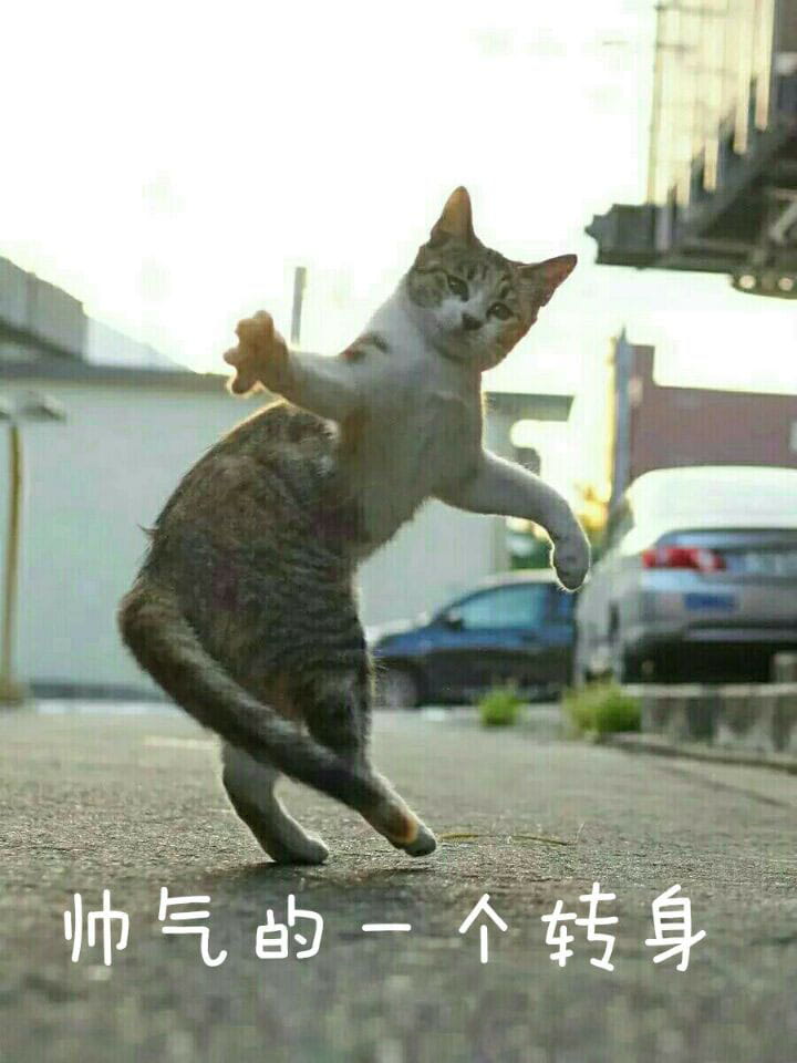 段子,搞笑,GIF