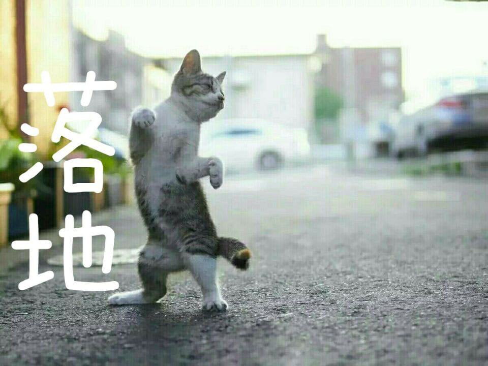 段子,搞笑,GIF