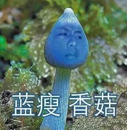 蓝瘦香菇,蓝瘦香菇表情包,蓝瘦香菇视频,