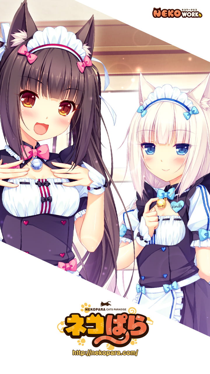 nekopara,巧克力与香子兰本子