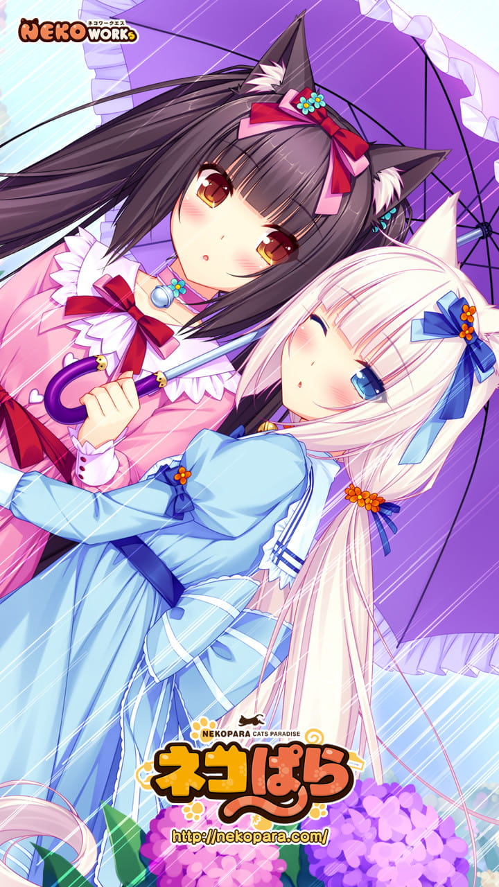 nekopara,巧克力与香子兰本子