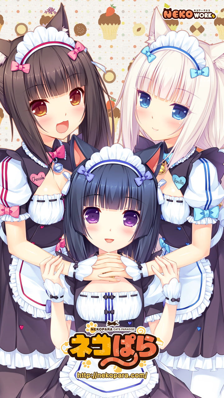 nekopara,巧克力与香子兰本子