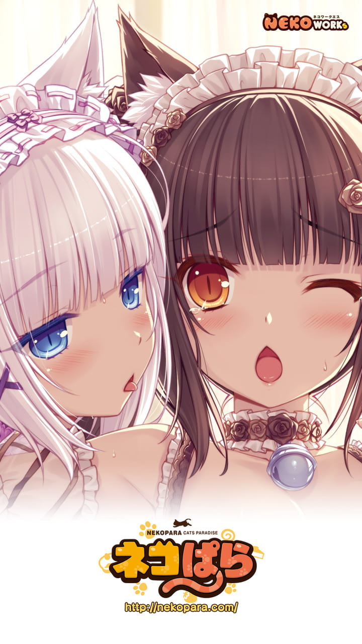 nekopara,巧克力与香子兰本子