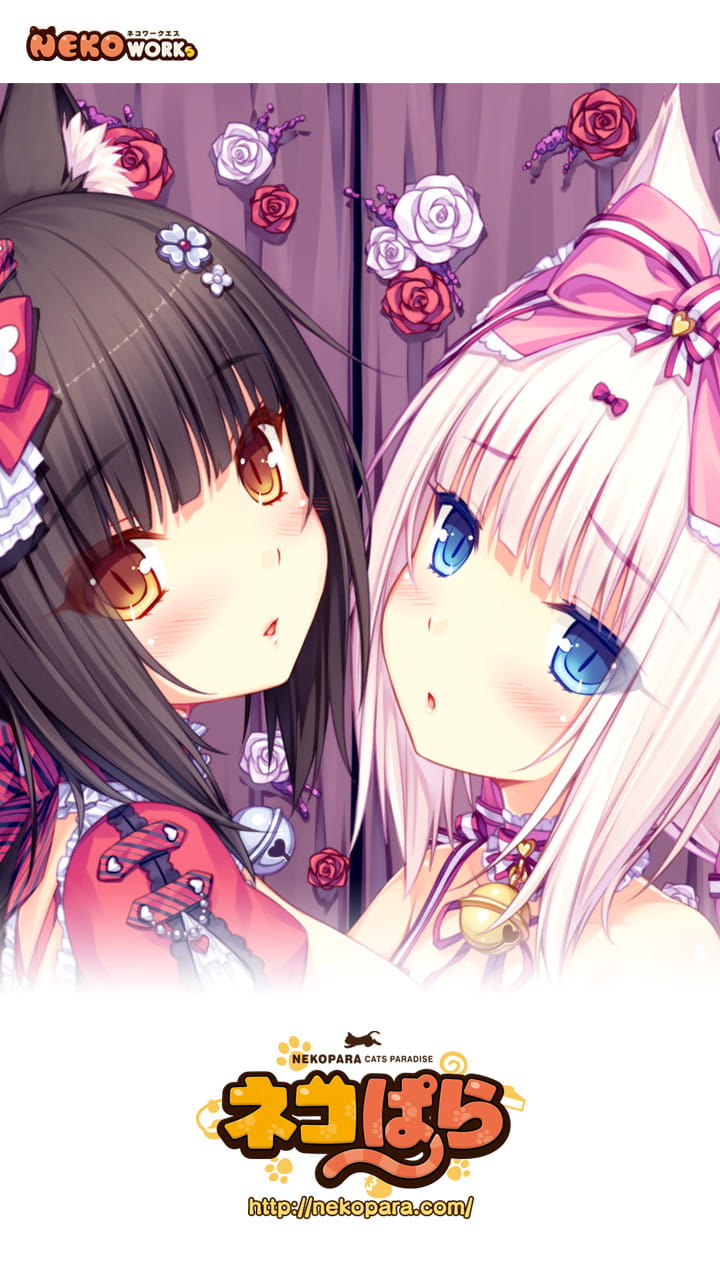 nekopara,巧克力与香子兰本子