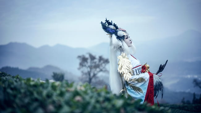 网易手游阴阳师,金鸾鹤羽,cosplay,姑获鸟