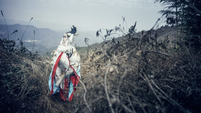 网易手游阴阳师,金鸾鹤羽,cosplay,姑获鸟