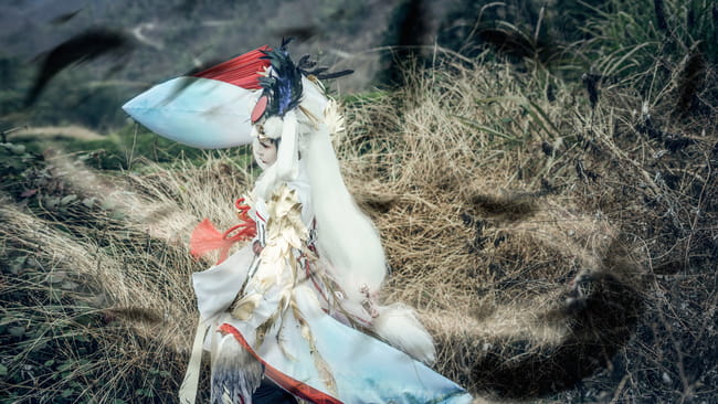 网易手游阴阳师,金鸾鹤羽,cosplay,姑获鸟