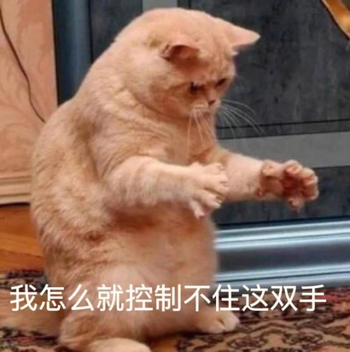 搞笑表情包,动物表情包,小猫表情包