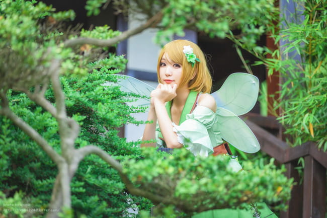 cosplay,小泉花阳,Love Live