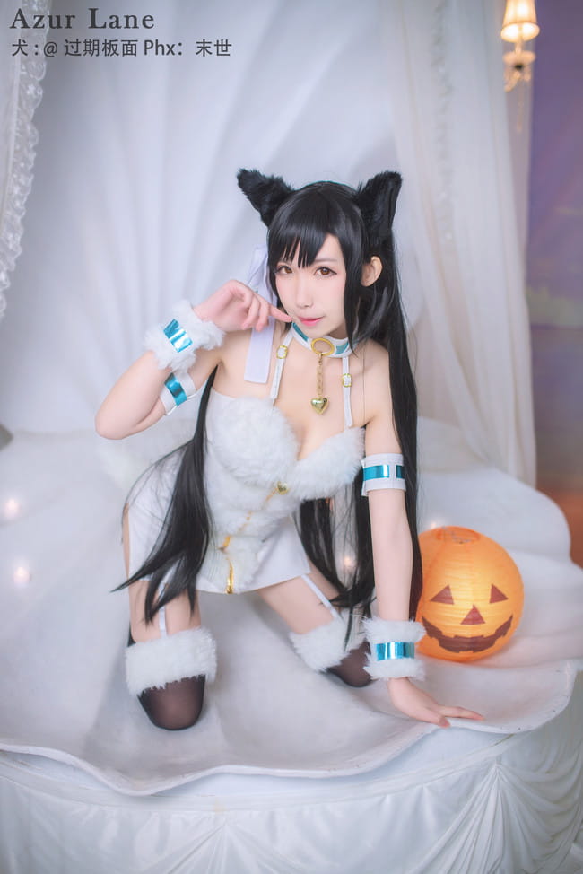 犬,万圣节,cosplay,碧蓝航线