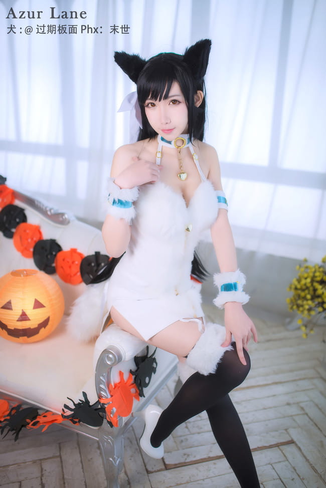 犬,万圣节,cosplay,碧蓝航线