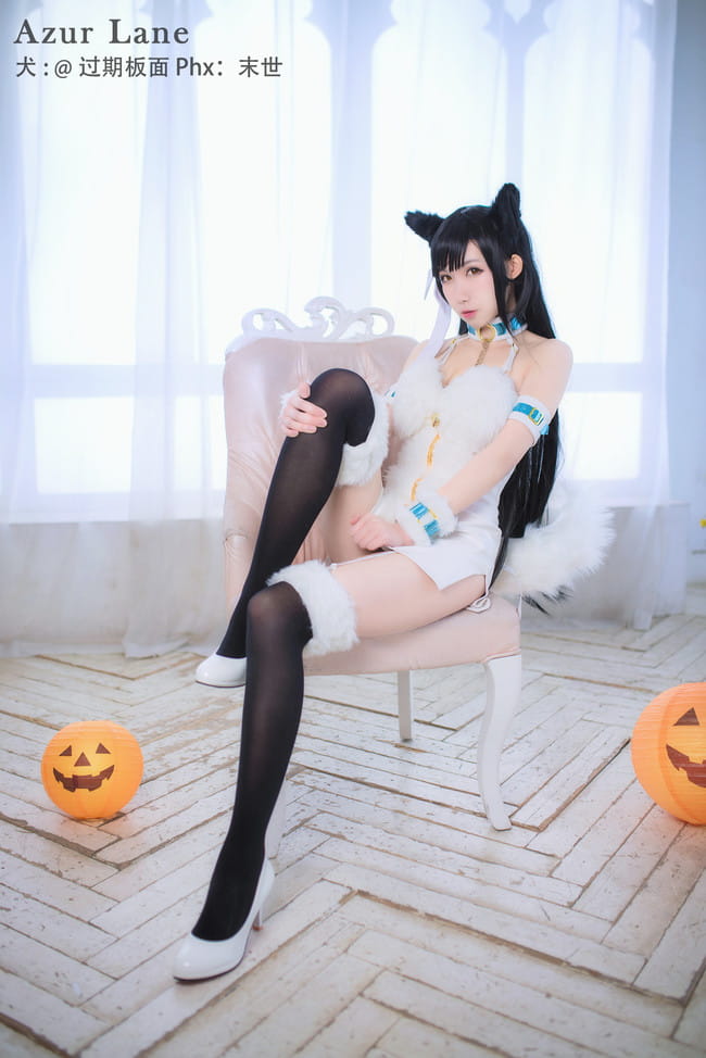 犬,万圣节,cosplay,碧蓝航线