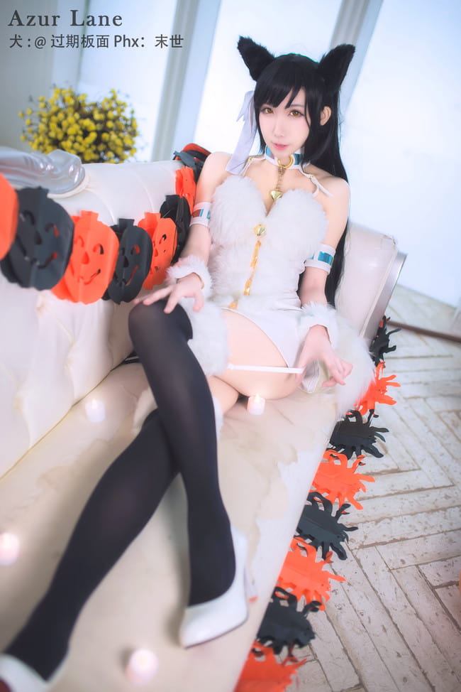 犬,万圣节,cosplay,碧蓝航线