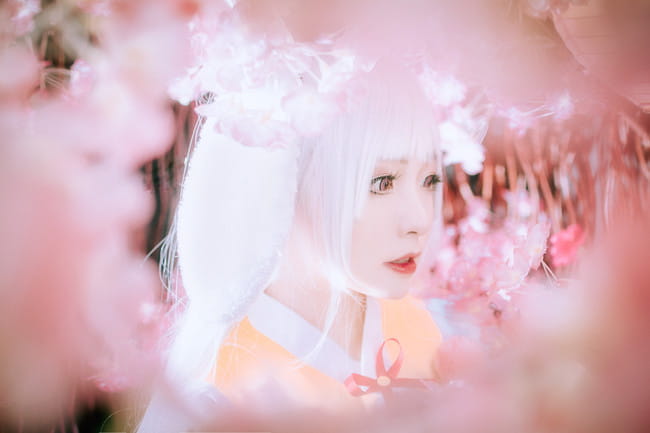 王者荣耀,公孙离,cosplay