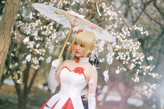 Fate/Grand Order,saber,南南北东西