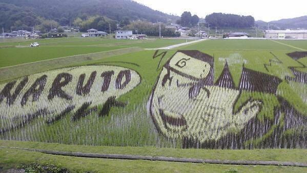 稻田鸣人