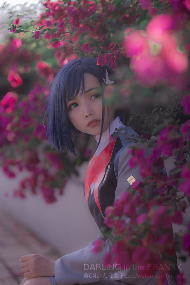 DARLING in the FRANXX,莓cos,哀子