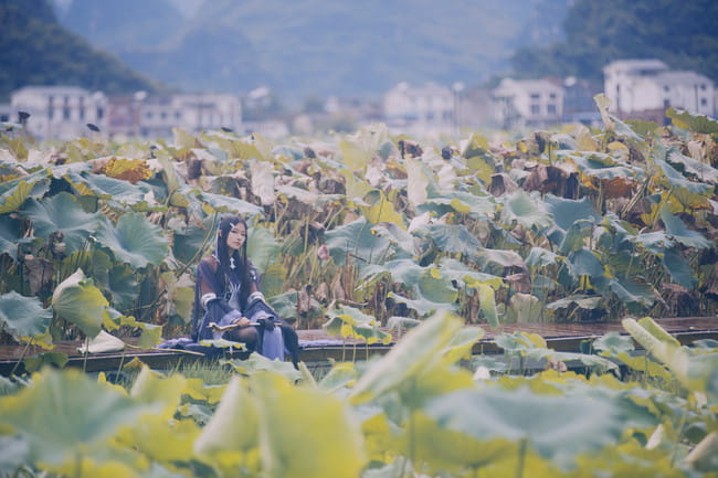 剑侠情缘网络版叁,万花,双花,cosplay