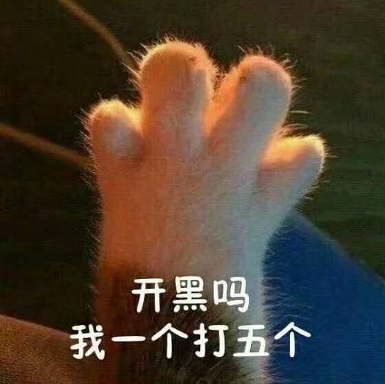 表情包,猫咪表情,沙雕表情