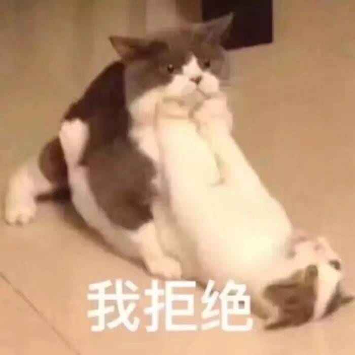 表情包,猫咪表情,沙雕表情