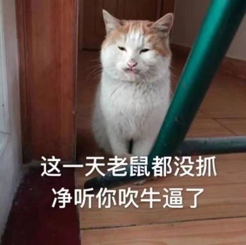 表情包,猫咪表情,沙雕表情