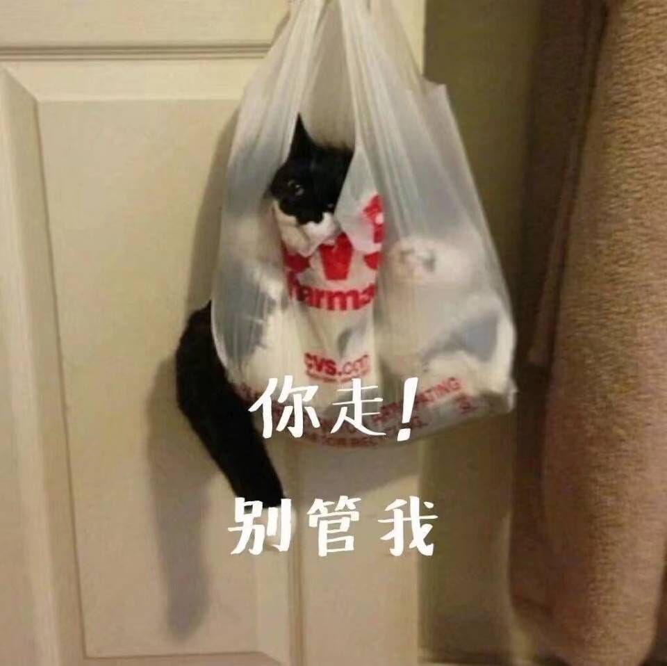 表情包,猫咪表情,沙雕表情