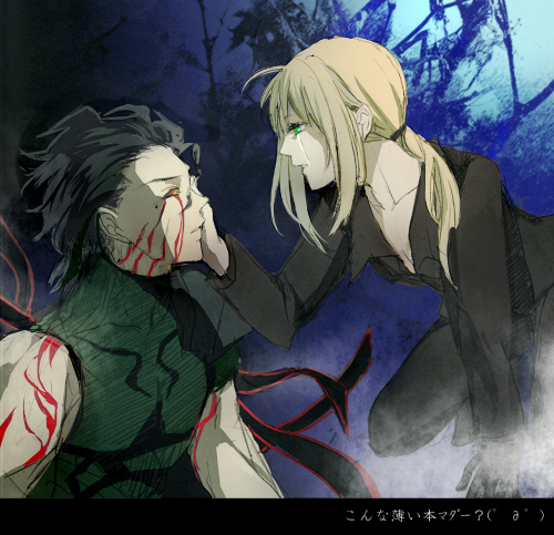 fate zero