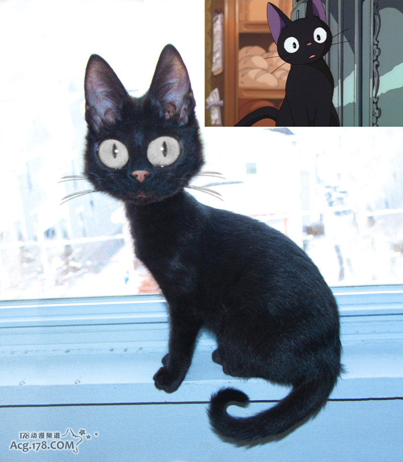 略猎奇注意!当宫崎骏作品中的角色们出现在现实